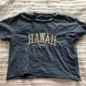 BRANDY MELVILLE blue Hawaii crop tee